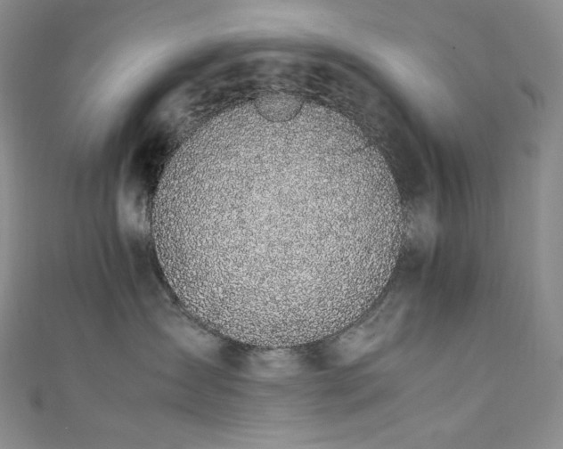 X0000111850431200907231432