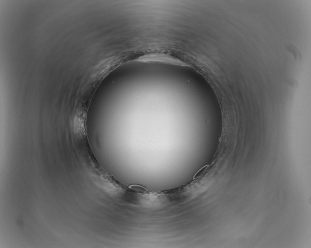X0000111850432200907231432