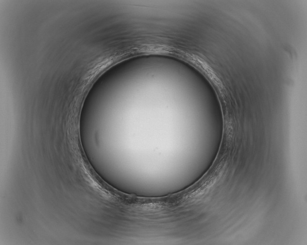X0000111850433200907231432