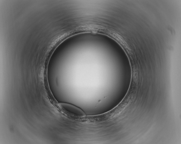 X0000111850434200907231432