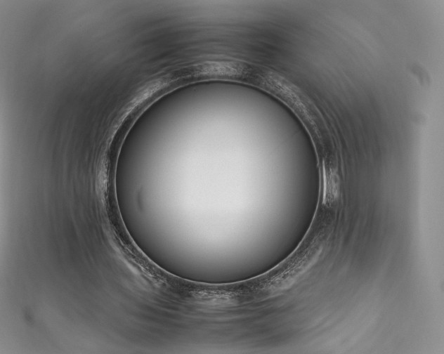 X0000111850435200907231432