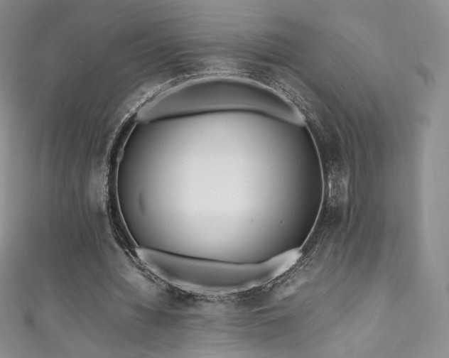 X0000111850436200907231432