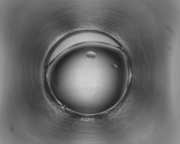 X0000111850440200907231432
