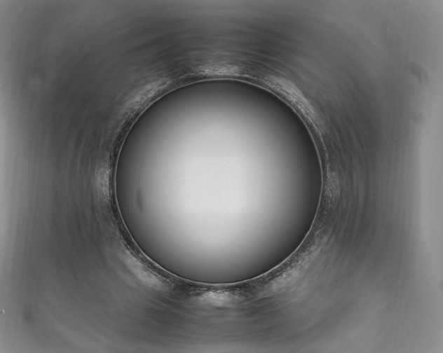 X0000111850441200907231432