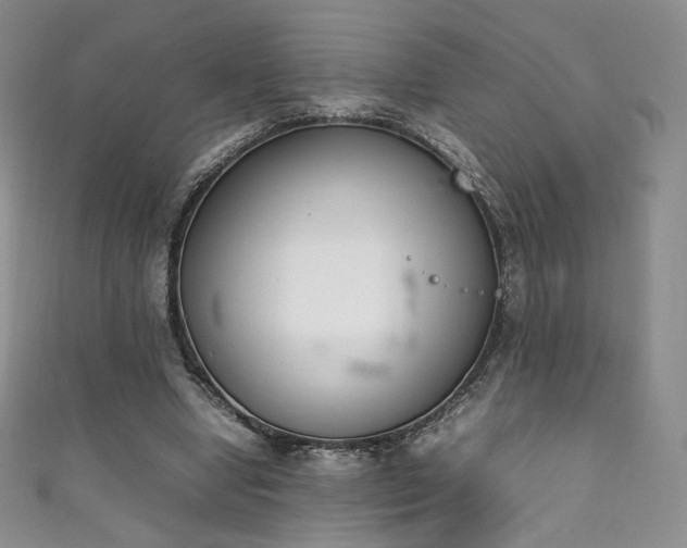 X0000111850442200907231432