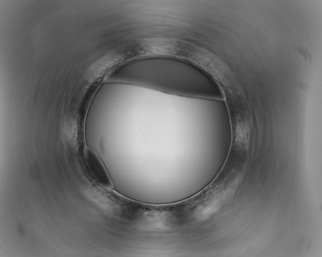 X0000111850444200907231432