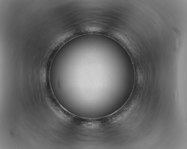 X0000111850447200907231432