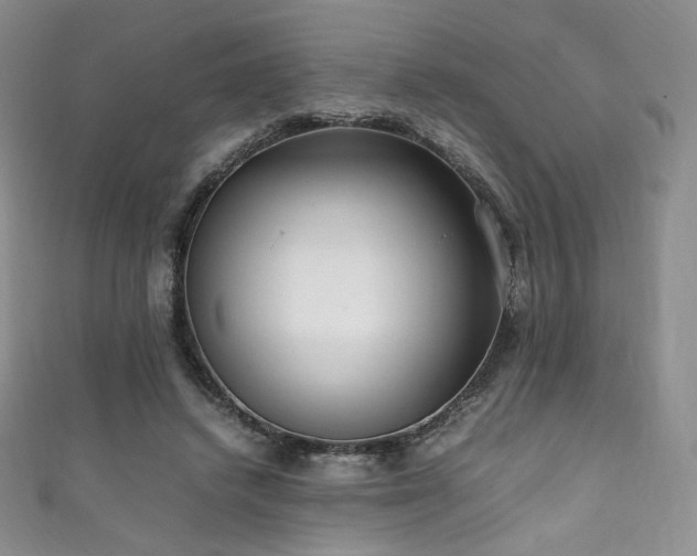 X0000111850448200907231432