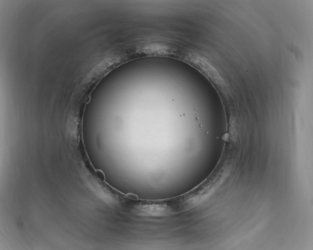 X0000111850449200907231432
