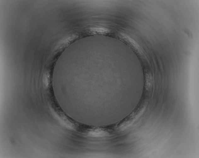 X0000111850451200907231432