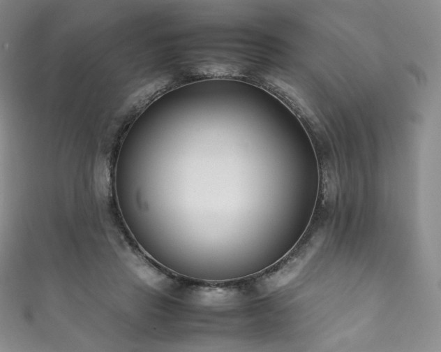 X0000111850453200907231432