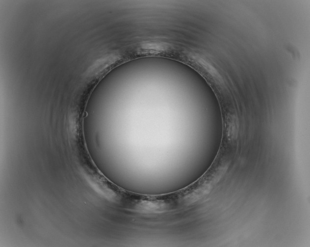 X0000111850455200907231432