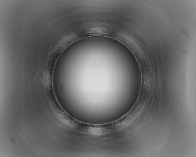 X0000111850457200907231432