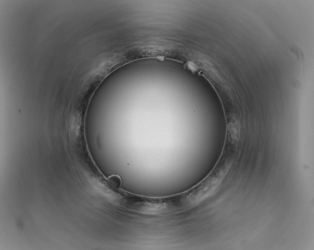 X0000111850458200907231432