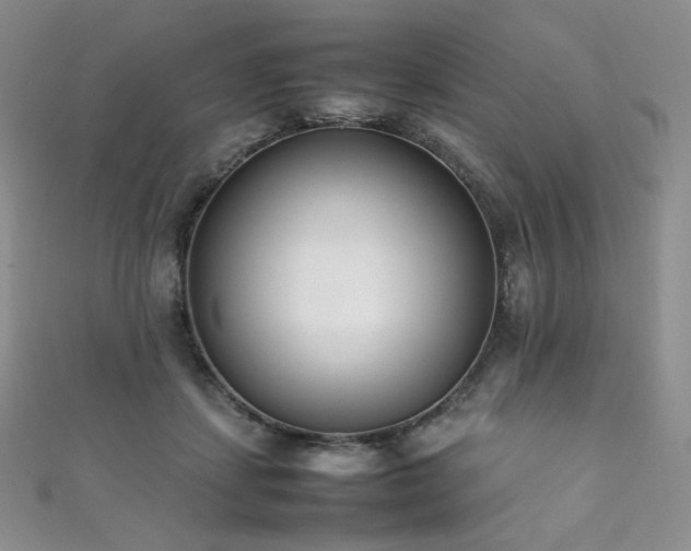 X0000111850459200907231432