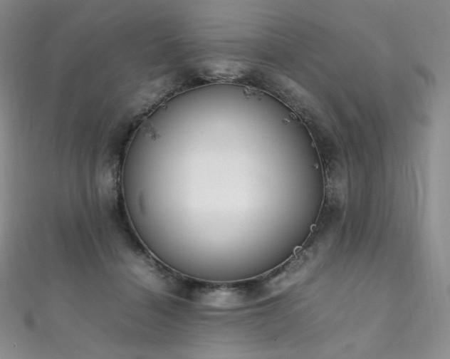 X0000111850460200907231432
