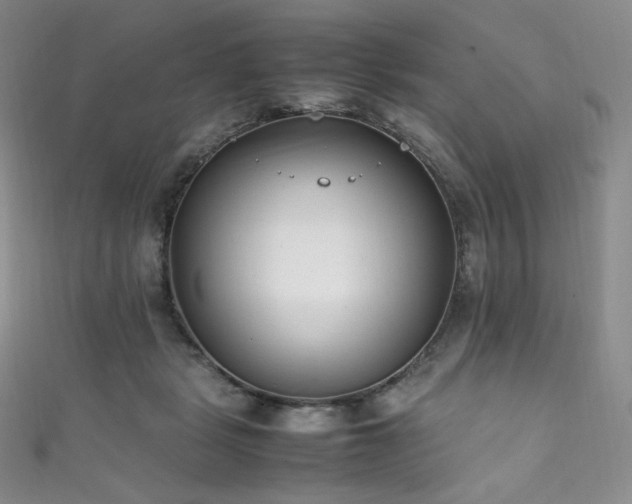 X0000111850461200907231432