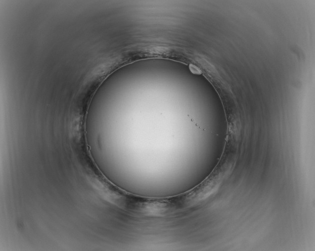 X0000111850462200907231432