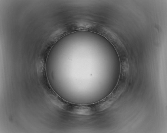X0000111850463200907231432