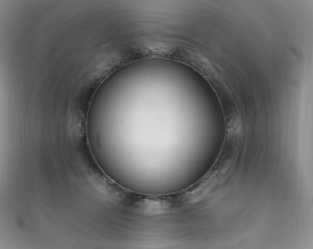 X0000111850464200907231432