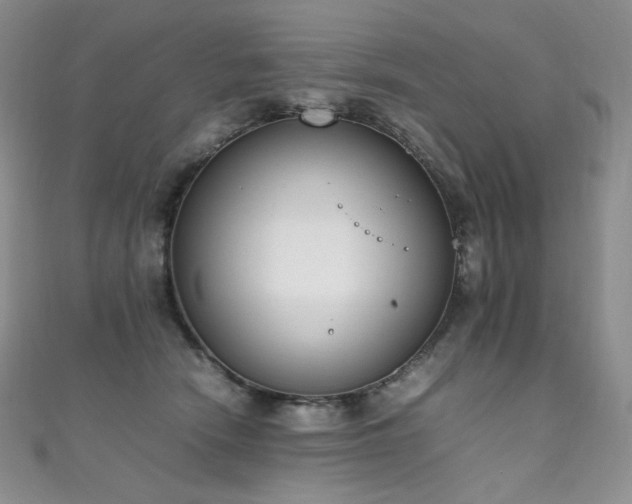 X0000111850466200907231432