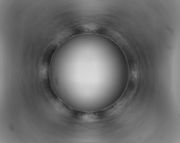 X0000111850468200907231432