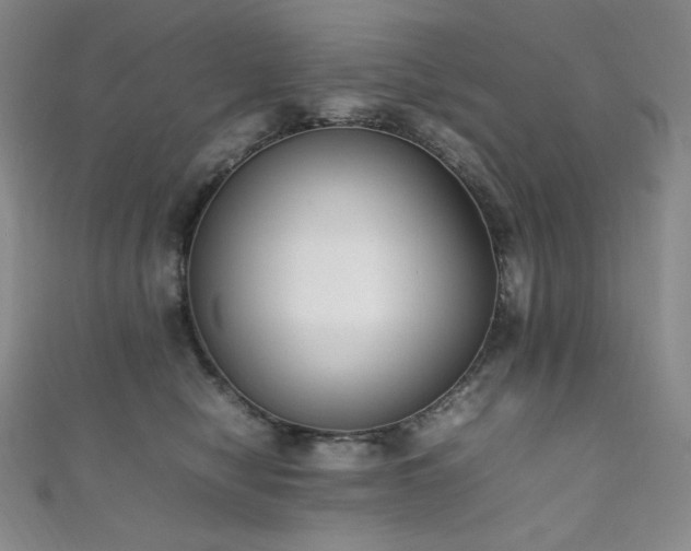 X0000111850470200907231432