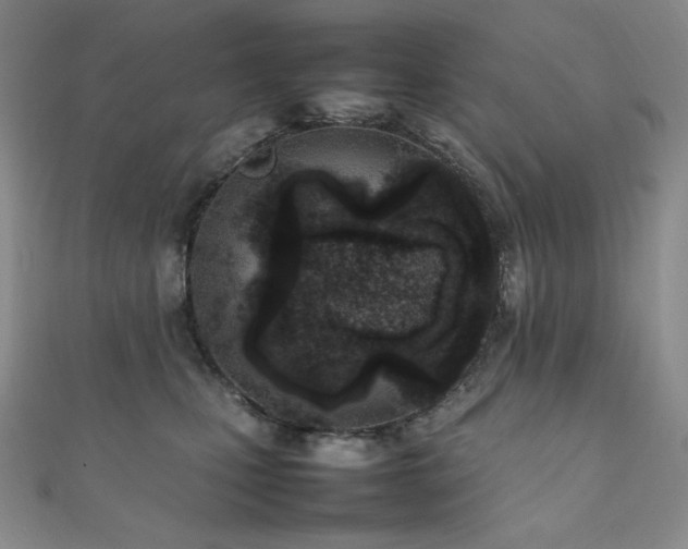 X0000111850471200907231432
