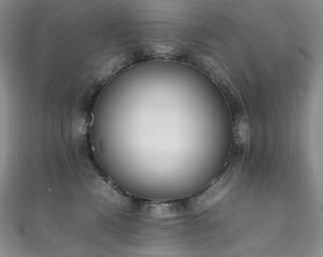 X0000111850472200907231432