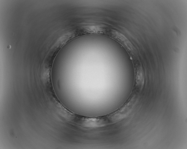 X0000111850473200907231432