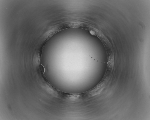 X0000111850474200907231432