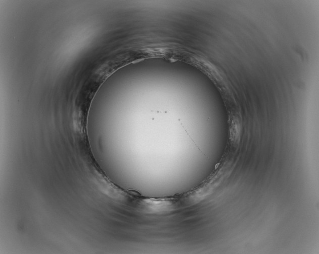 X0000111850477200907231432