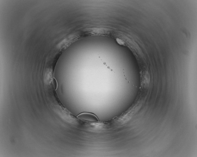 X0000111850478200907231432