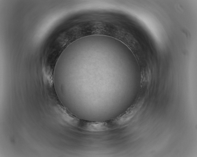 X0000111850479200907231432