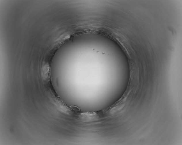 X0000111850480200907231432