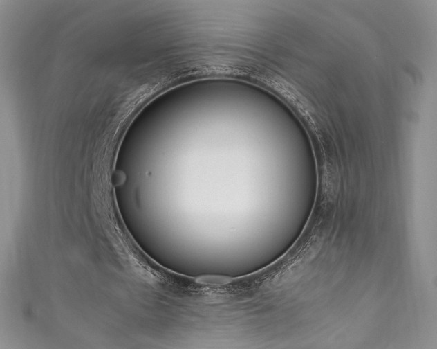 X0000111850481200907231432