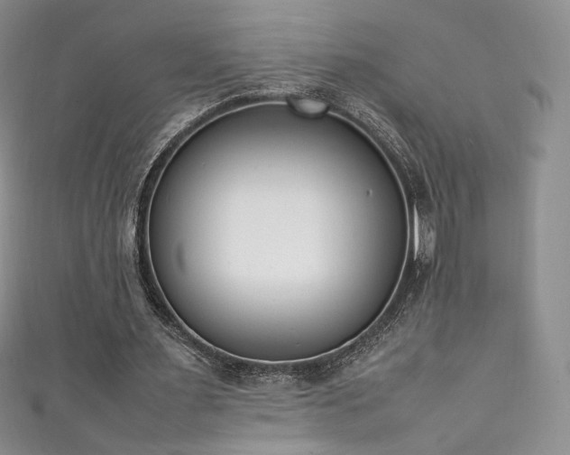 X0000111850483200907231431