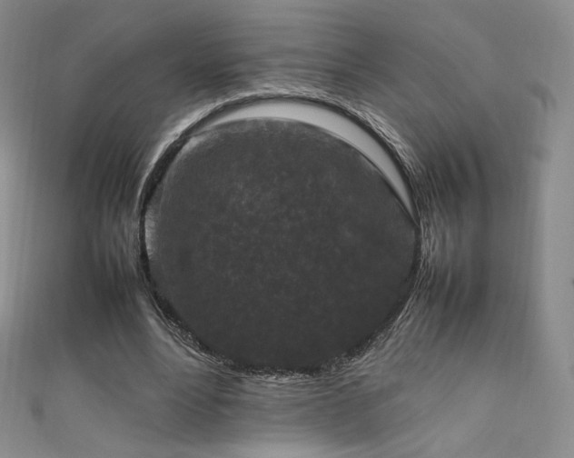 X0000111850488200907231431