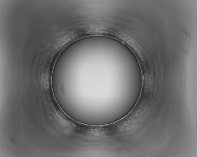 X0000111850489200907231431