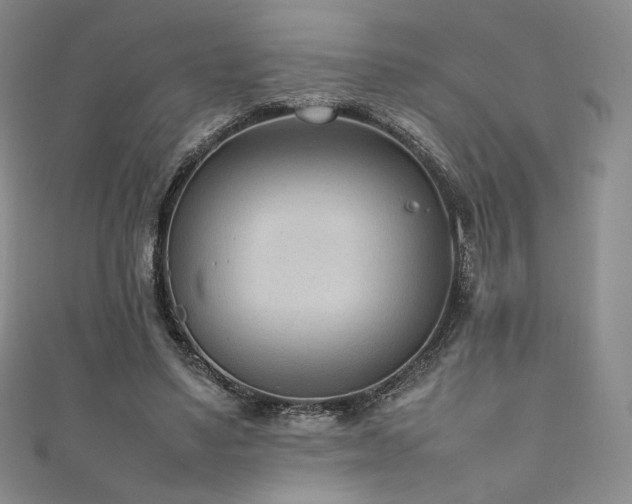 X0000111850491200907231431
