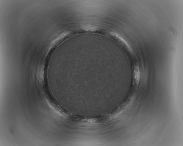 X0000111850492200907231431