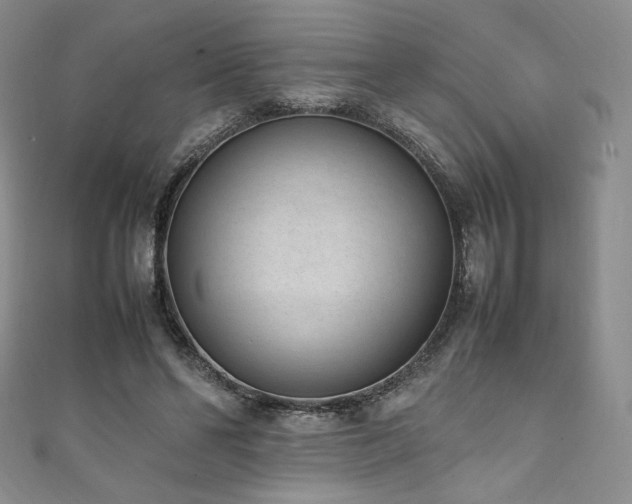 X0000111850494200907231431
