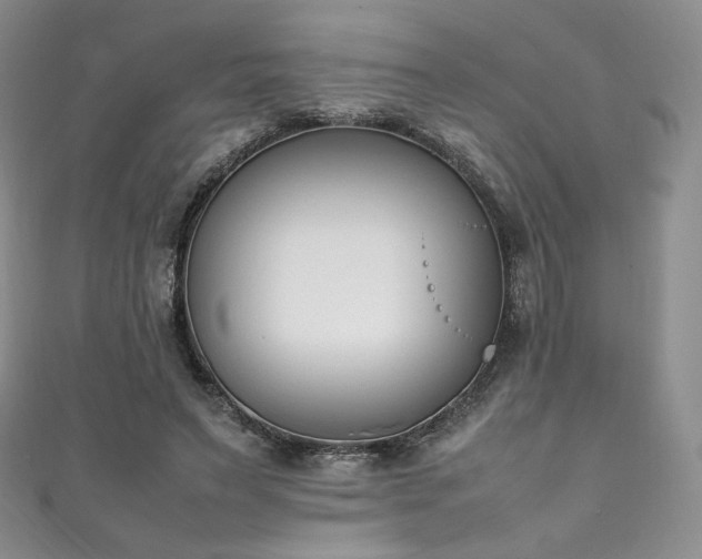 X0000111850495200907231431