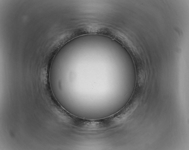 X0000111850497200907231431