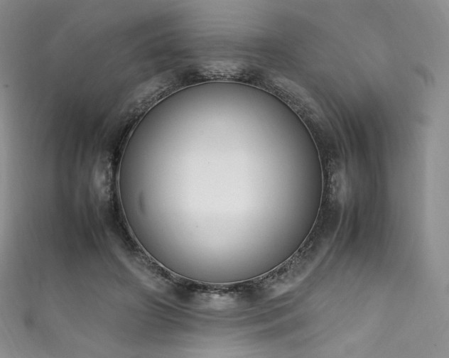 X0000111850498200907231431