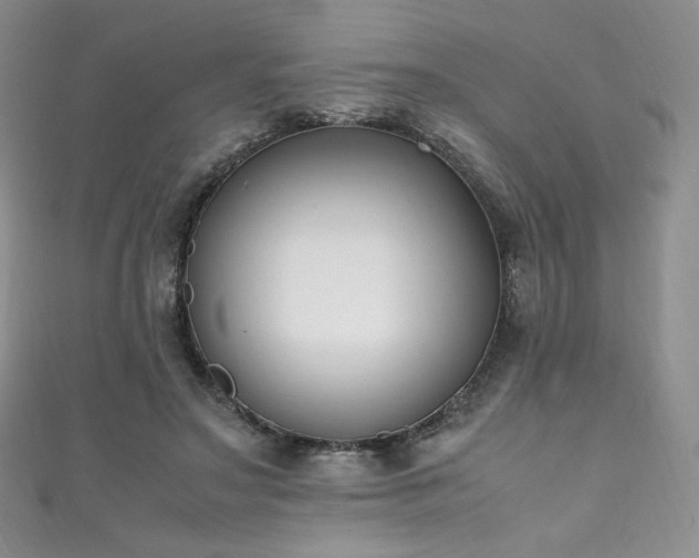 X0000111850499200907231431
