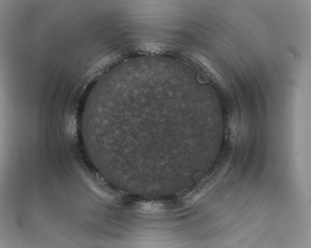 X0000111850500200907231431