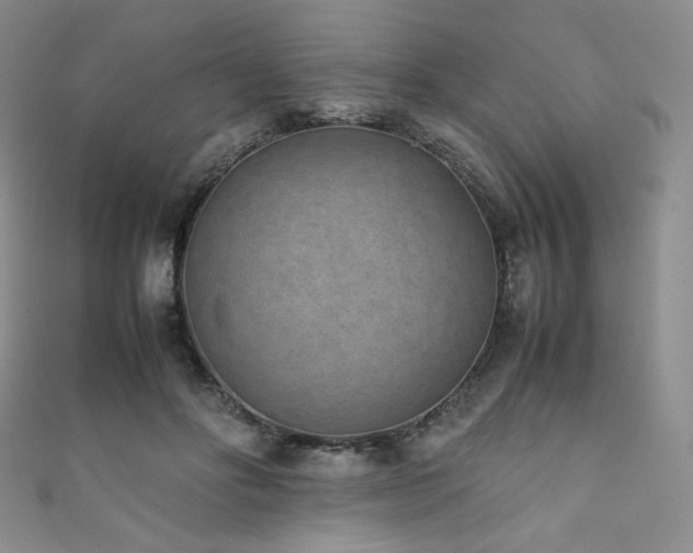 X0000111850502200907231431