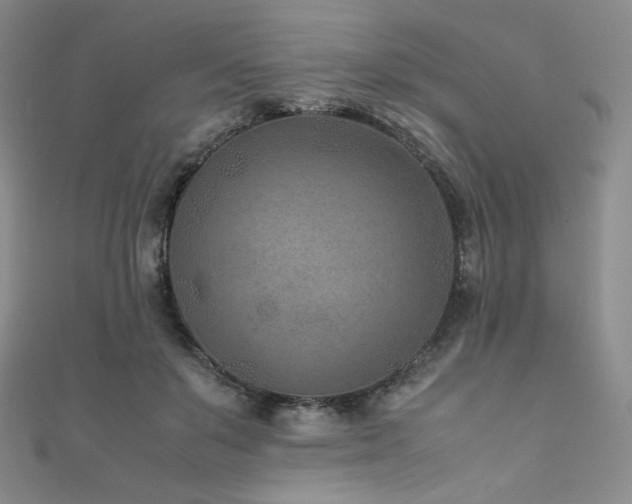 X0000111850503200907231431