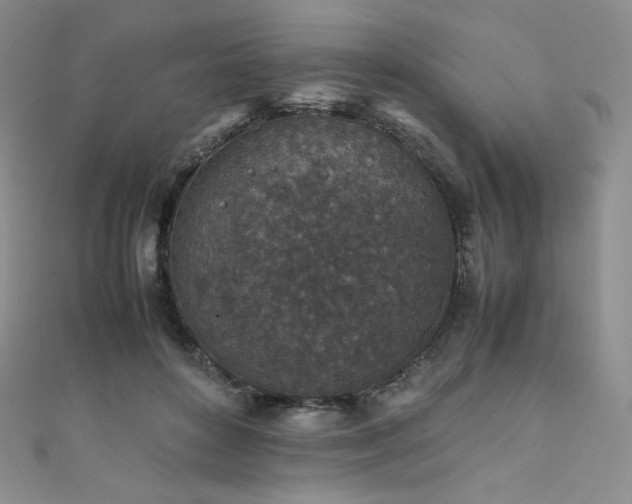 X0000111850504200907231431